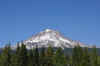 DSC_0961_Large.JPG (89085 bytes)